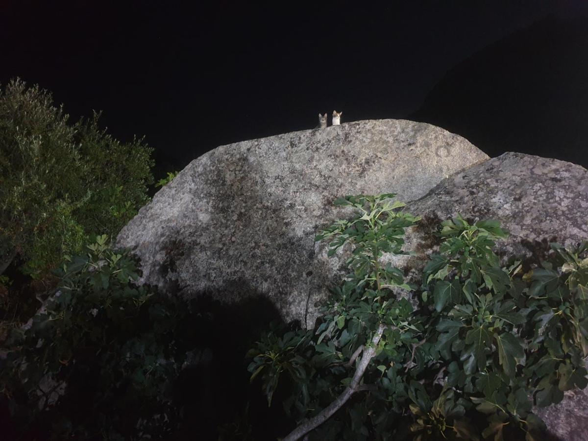 B&B Tiscali Dorgali Dış mekan fotoğraf