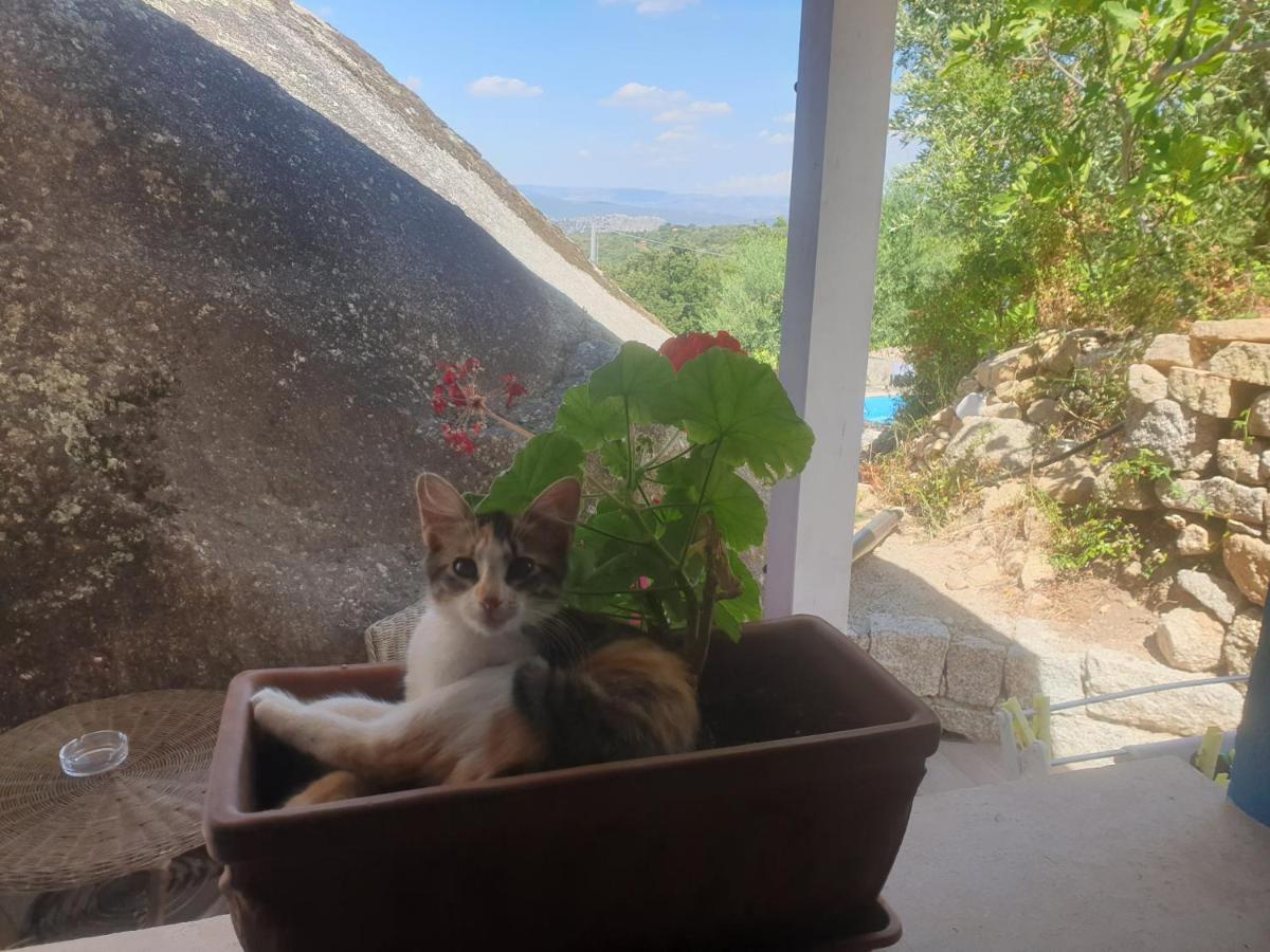 B&B Tiscali Dorgali Dış mekan fotoğraf